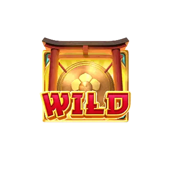 สัญลักษณ์ Wild